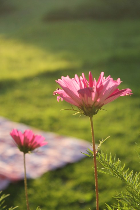 039