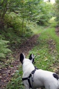 IMG_9443