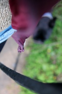 IMG_9470